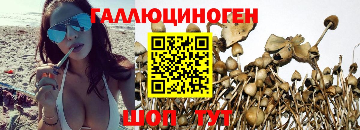 Псилоцибиновые грибы ЛСД  Вход с VPN  Донской  Псилоцибиновые грибы прущие грибы 